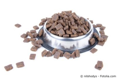 Wie viel Futter für einen Hund? › Hunde-Info.de